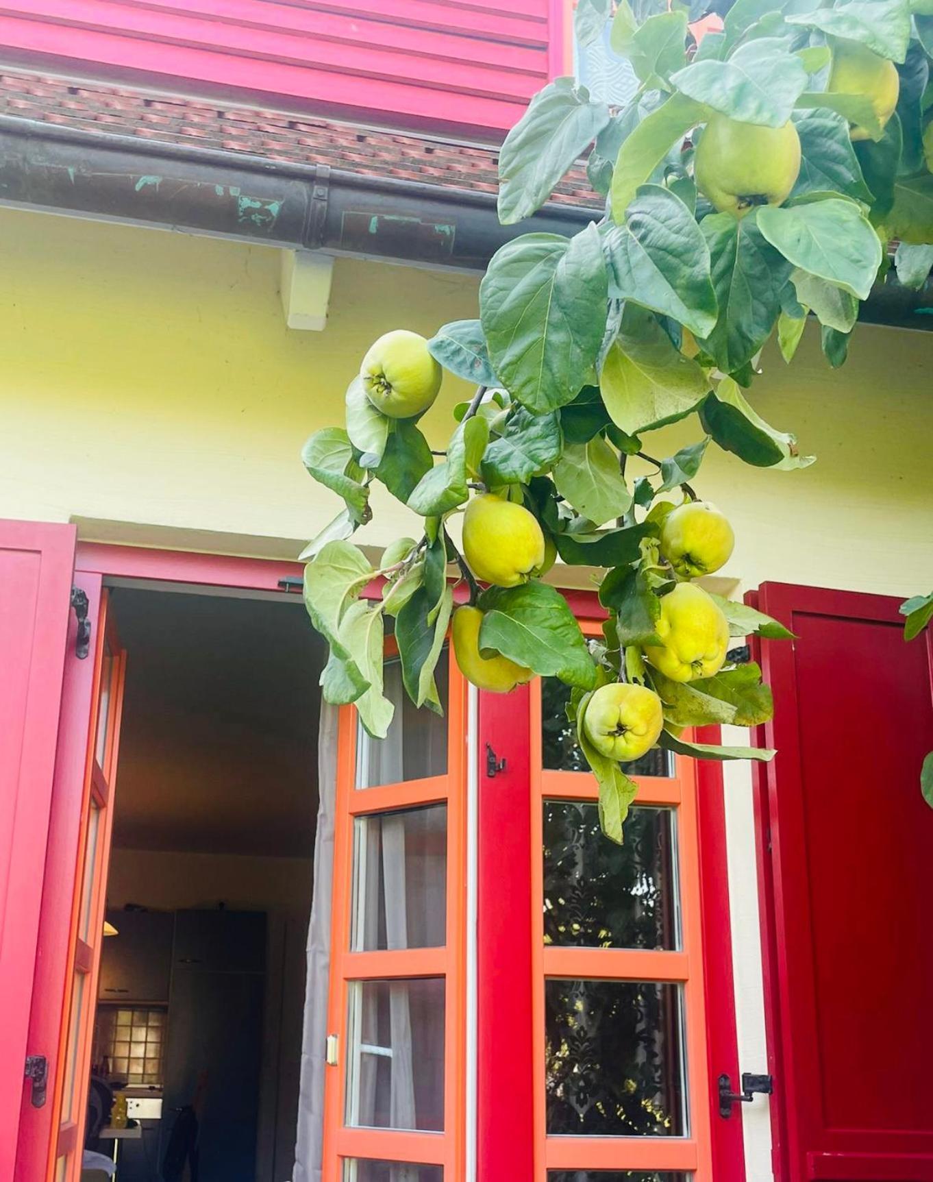 Moewenblick Bakenberg-41 Ferienwohnung Mit Terrasse, Doppelbett, Schlafsofa, Vollstaendige Komfortkueche Dranske Luaran gambar